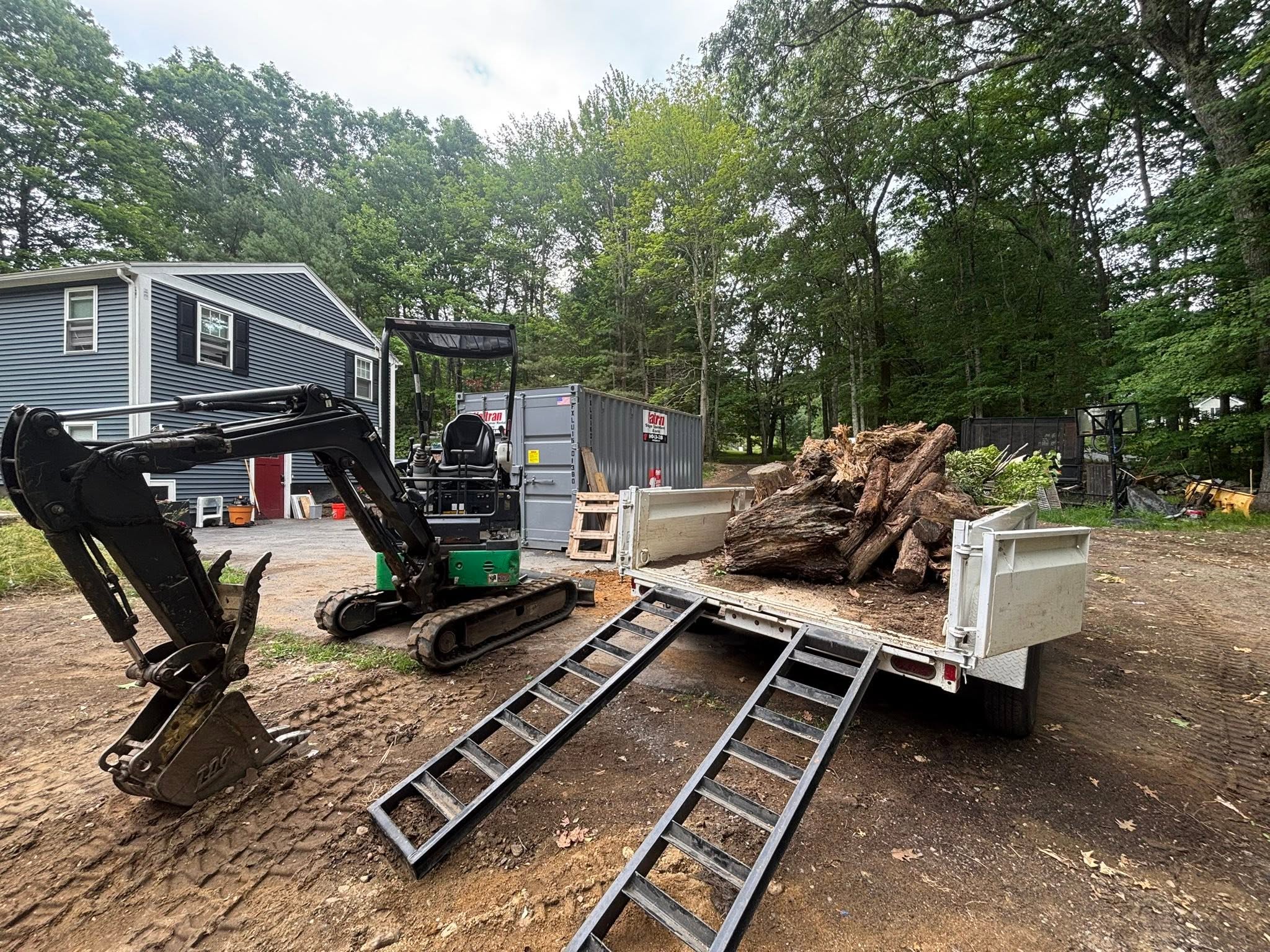 Shrub & Stump Removal